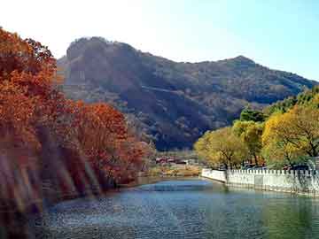 管家婆黑白马报图库，汽油